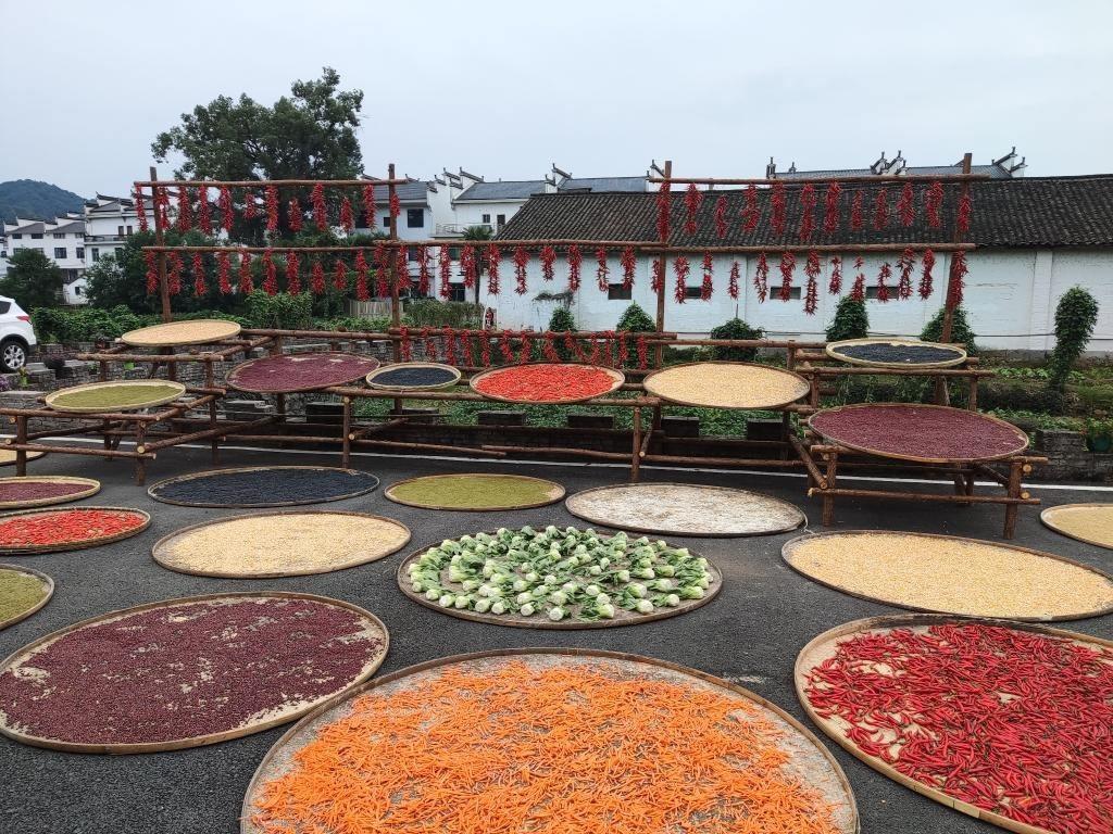 近日，江西省上饒市婺源縣秋口鎮(zhèn)王村村民晾曬的農(nóng)作物。新華社記者 劉佳敏 攝