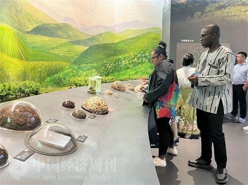  （在中國藥都中醫(yī)藥博物館，外媒記者了解中醫(yī)藥發(fā)展史。中國經(jīng)濟周刊記者 郭志強 攝）