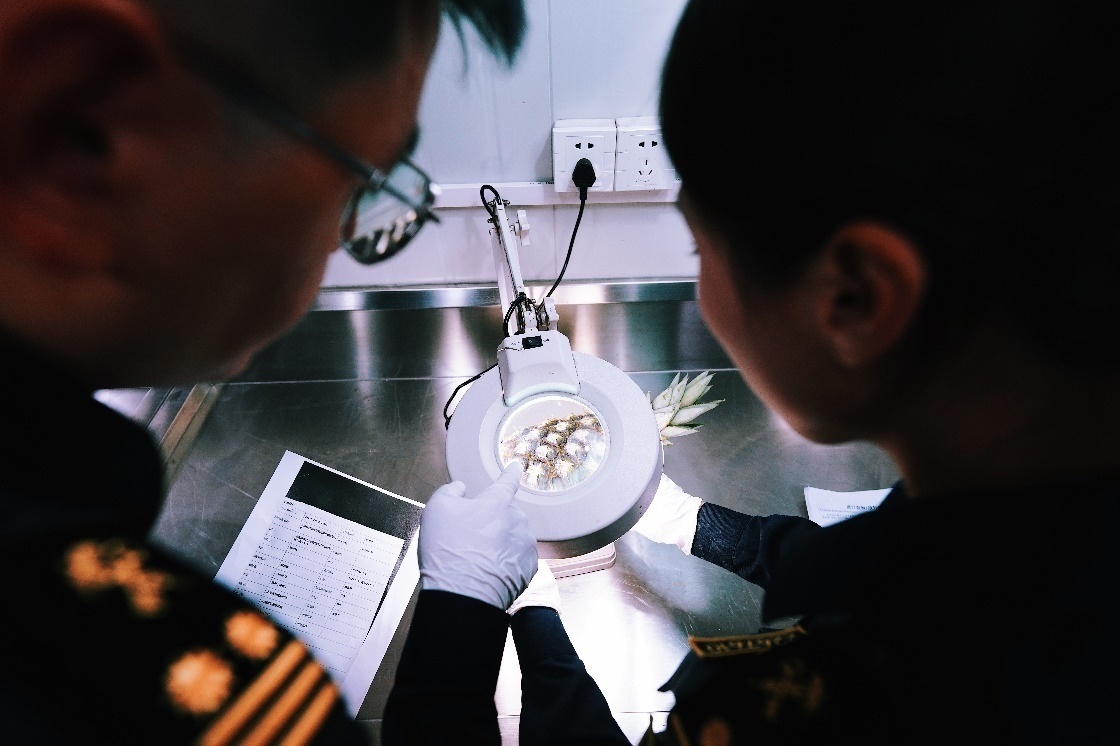 上海海關(guān)關(guān)員針對(duì)檢疫性有害生物和農(nóng)藥殘留進(jìn)行檢疫檢驗(yàn)。陳興洲攝