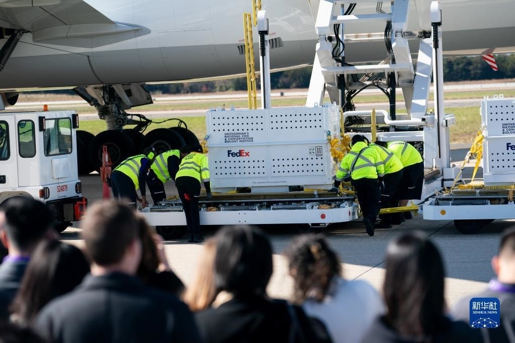 11月8日，在美國弗吉尼亞州的華盛頓杜勒斯國際機(jī)場，裝有大熊貓的特制“旅行包廂”準(zhǔn)備運(yùn)上專機(jī)。新華社記者劉杰攝