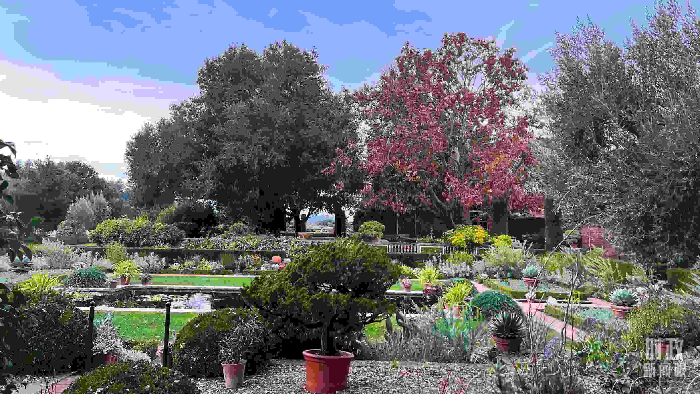 斐洛里莊園被稱作美國20世紀(jì)現(xiàn)存最精美鄉(xiāng)村莊園之一。(總臺(tái)央視記者程鋮拍攝)