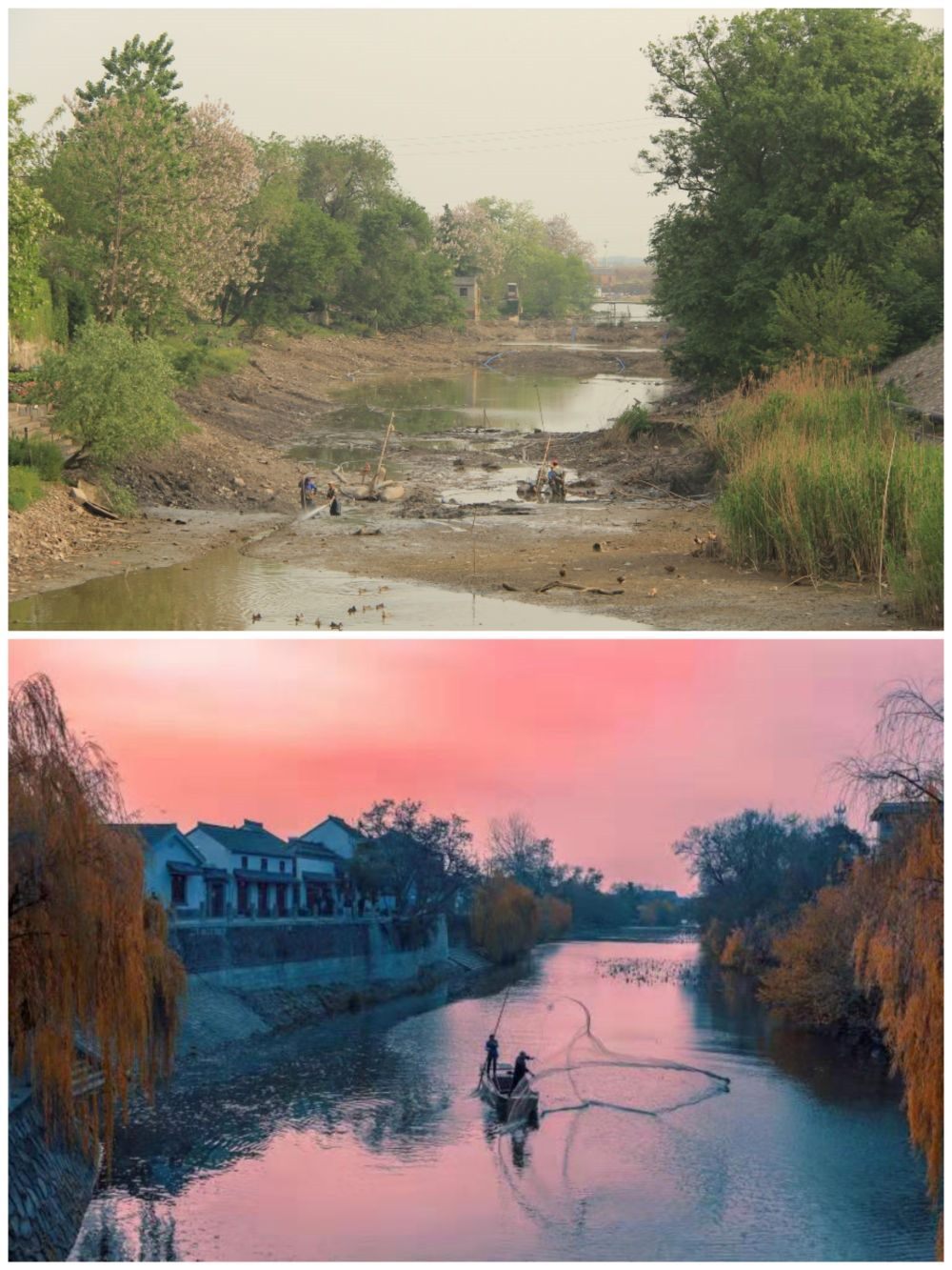 江蘇省揚(yáng)州市江都區(qū)明清運(yùn)河故道整治前后。（上圖：2012年；下圖：2020年）（孫友定 攝）