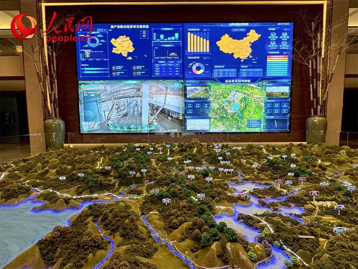 品品香白茶產(chǎn)業(yè)園信息中心數(shù)智化大屏。人民網(wǎng)記者 劉微攝