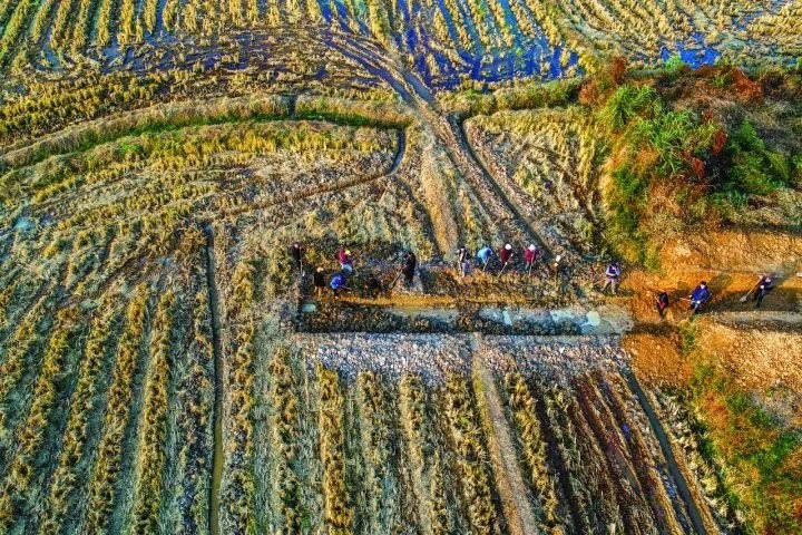 良渚遺址考古發(fā)掘現(xiàn)場(chǎng)。