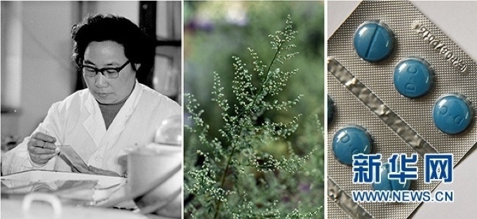 屠呦呦、青蒿和抗瘧疾成藥（拼版資料照片）