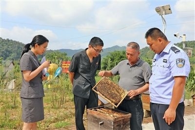  圖②：蒙山法院黃村法庭法官深入蜂蜜合作社，實地了解蜂農(nóng)需求。