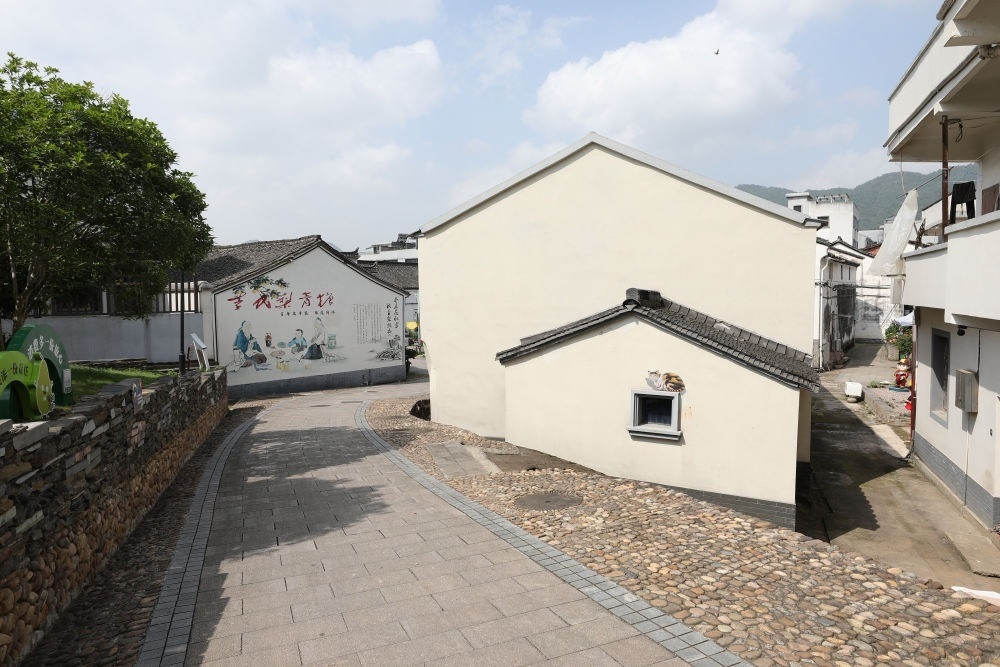 浙江省義烏市李祖村一景（2023年5月23日攝）。新華社記者 杜瀟逸 攝