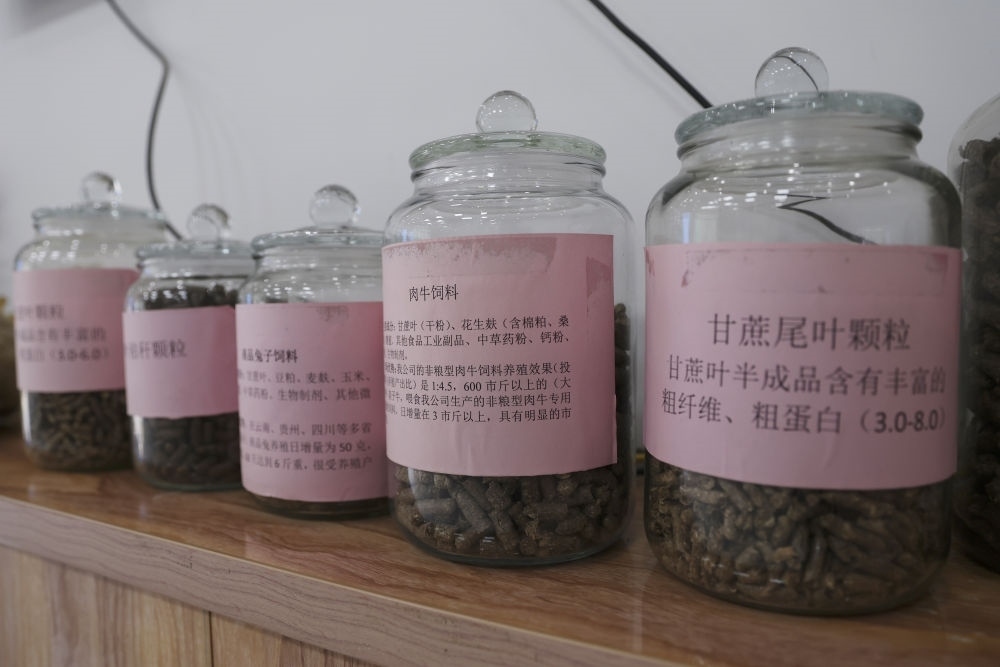 這是12月13日在來賓市興賓區(qū)小平陽鎮(zhèn)一家飼料廠拍攝的以甘蔗尾葉為原料制成的飼料。