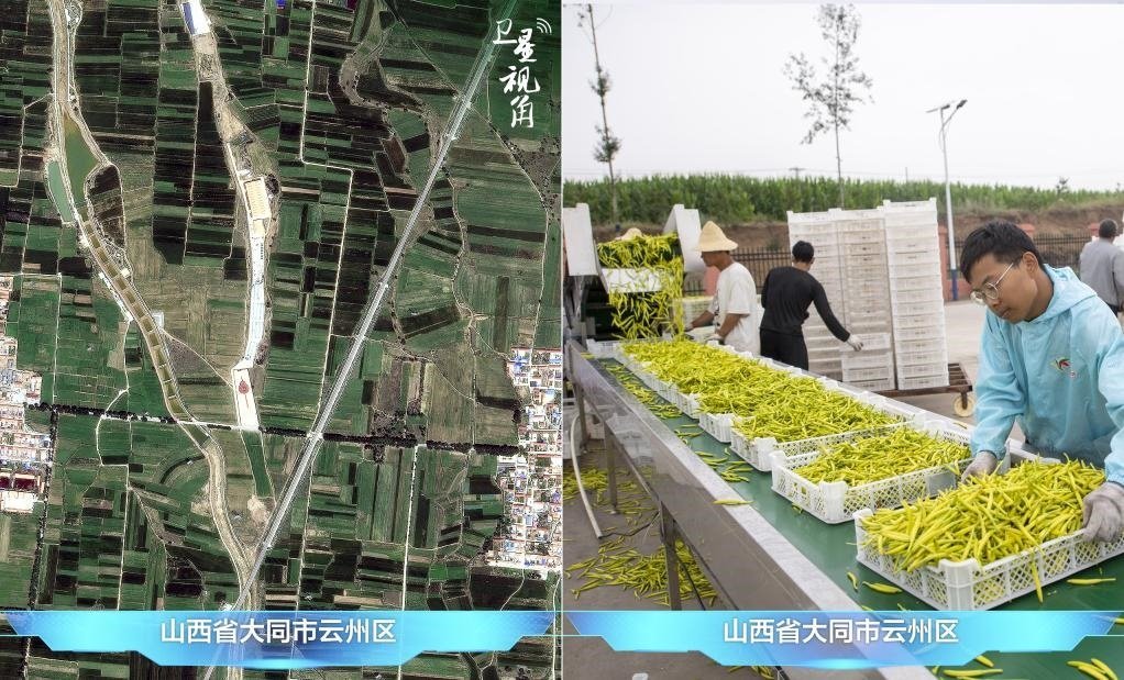 當(dāng)前，大同市開發(fā)黃花菜品、食品、飲品、功能食品、化妝品、文創(chuàng)產(chǎn)品六大系列130余種，全產(chǎn)業(yè)鏈產(chǎn)值超40億元。