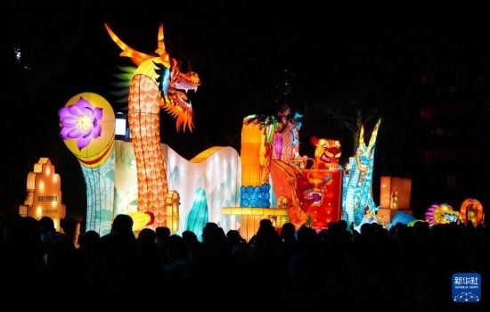 2月11日晚，人們?cè)跐?jì)南市趵突泉公園觀賞花燈。