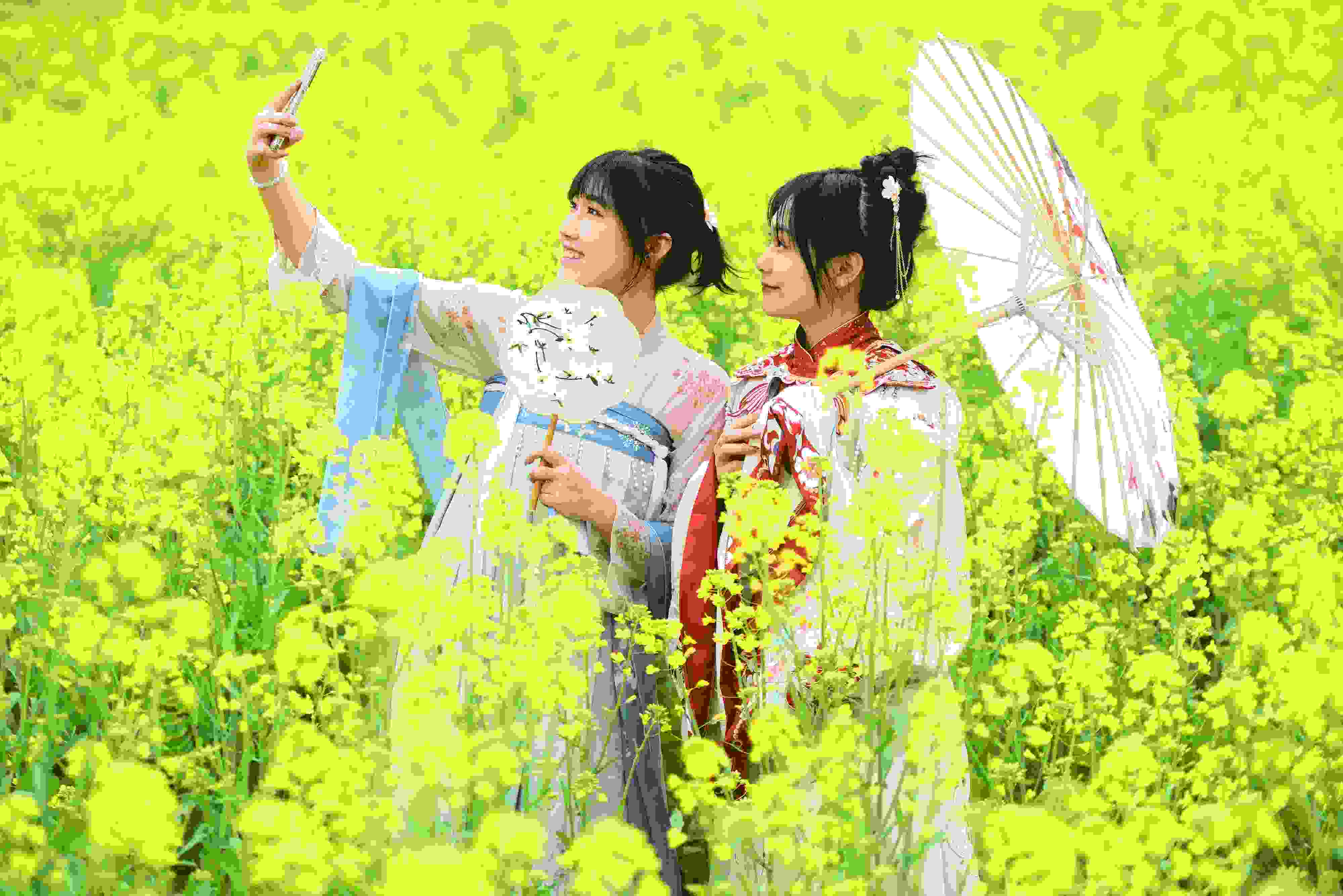 △ 2024年2月16日，廣西賀州，在富川瑤族自治縣麥嶺鎮(zhèn)三民村，游客在油菜花田間賞花拍照。