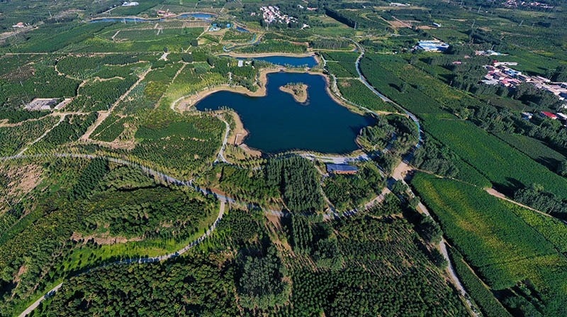 這是2022年9月6日拍攝的雄安新區(qū)“千年秀林”。