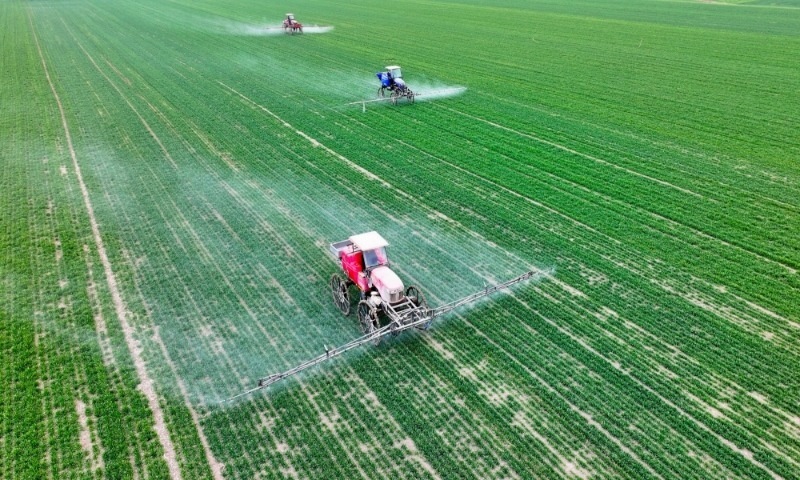 2024年2月18日，安徽省亳州市，利辛縣紀(jì)王場(chǎng)鄉(xiāng)孫老家村麥田，農(nóng)民駕駛自走式高桿噴霧機(jī)對(duì)小麥進(jìn)行噴藥作業(yè)。