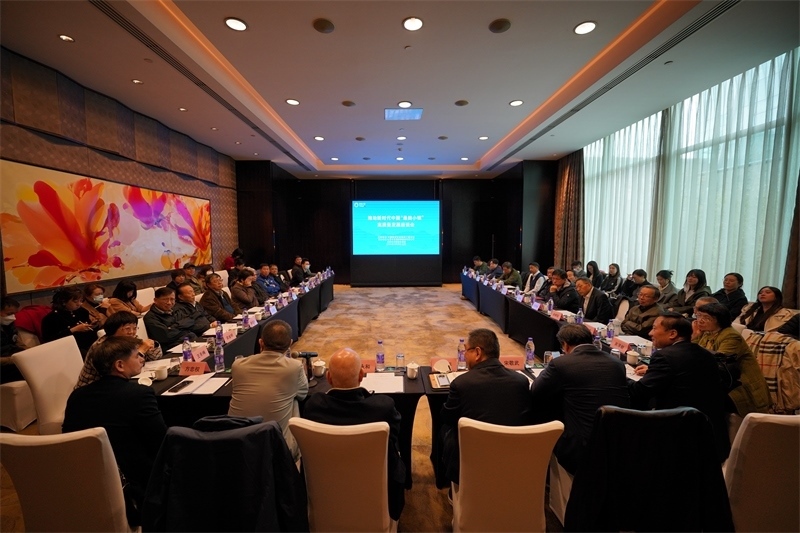 座談會(huì)現(xiàn)場。主辦方供圖