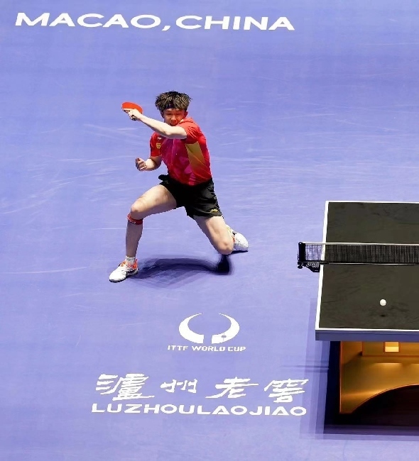 王楚欽在比賽中。賽事方供圖