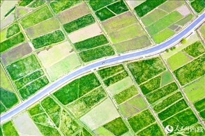 無人機(jī)視角下的西藏山南市瓊結(jié)農(nóng)田。人民網(wǎng)記者 次仁羅布攝