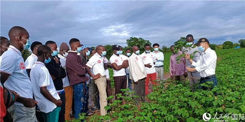 項(xiàng)目組長(zhǎng)首小勇向當(dāng)?shù)孛揶r(nóng)做技術(shù)講解。人民網(wǎng)記者 黃培昭攝