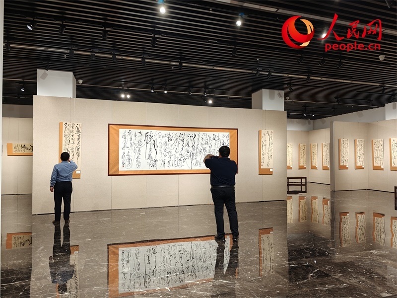 觀眾正在參觀展覽。人民網(wǎng)記者 韋衍行攝