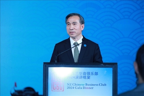 中國貿(mào)促會任鴻斌會長。主辦方供圖