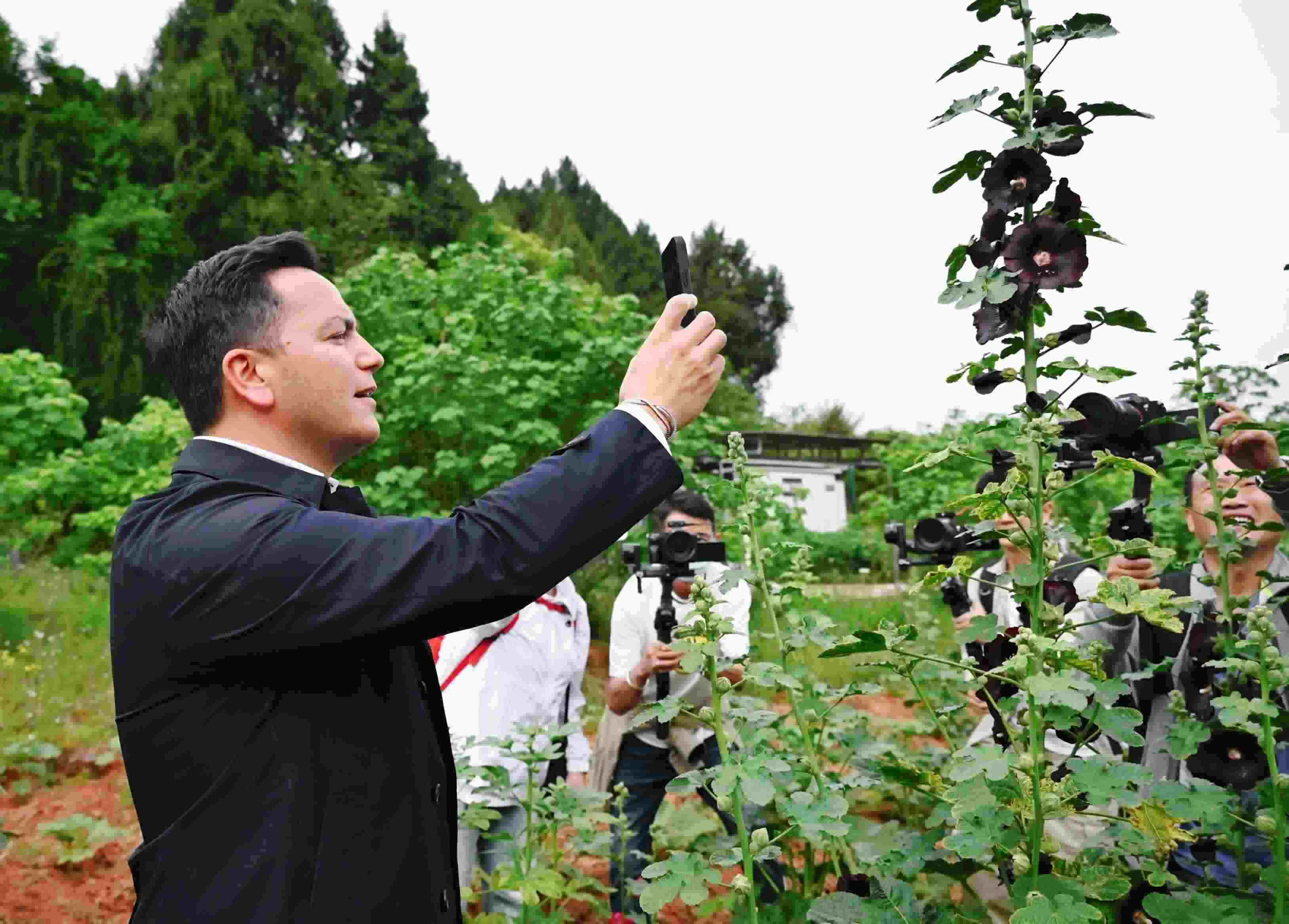  △2024年4月23日，國際園藝生產(chǎn)者協(xié)會主席萊昂納多·卡皮塔尼奧在成都市金堂縣鮮花山谷景區(qū)考察蜀葵產(chǎn)業(yè)。