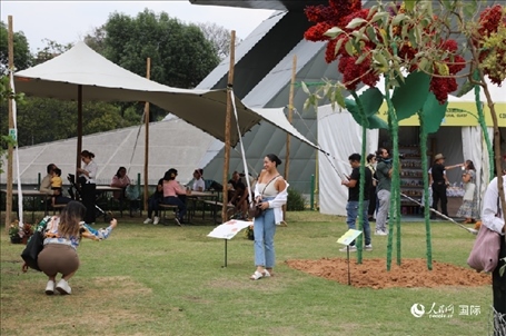 坎波·馬特活動現(xiàn)場。埃內(nèi)斯托·多明戈斯攝