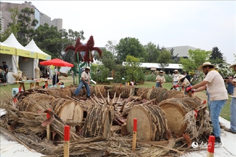 坎波·馬特活動現(xiàn)場。埃內(nèi)斯托·多明戈斯攝