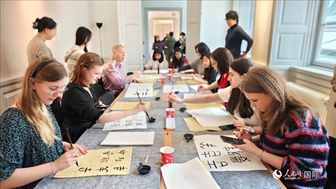 瑞典書法愛好者專心學(xué)習(xí)書法。人民網(wǎng)記者 殷淼攝