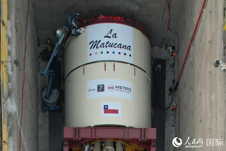 質(zhì)構(gòu)機全景。陳露明攝