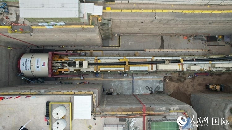 質(zhì)構(gòu)機全景。陳露明攝