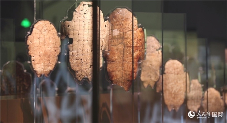 殷墟博物館新館的甲骨展品。人民網(wǎng)記者 劉寧攝