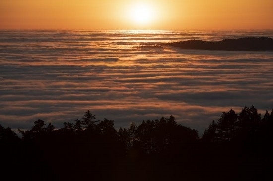 這是5月14日在美國加利福尼亞州馬林縣拍攝的云海。新華社發(fā)（李建國攝）