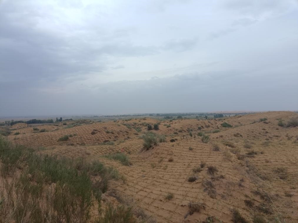 寧夏吳忠市鹽池縣和內(nèi)蒙古鄂爾多斯市鄂托克前旗交界處的流動(dòng)沙丘，今年剛剛完成治理。（孫果攝）