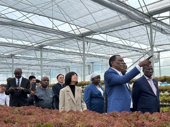 使節(jié)團考察貴州省清鎮(zhèn)駱家橋蔬菜保供基地的無土栽培溫室。新華社記者 袁睿 攝