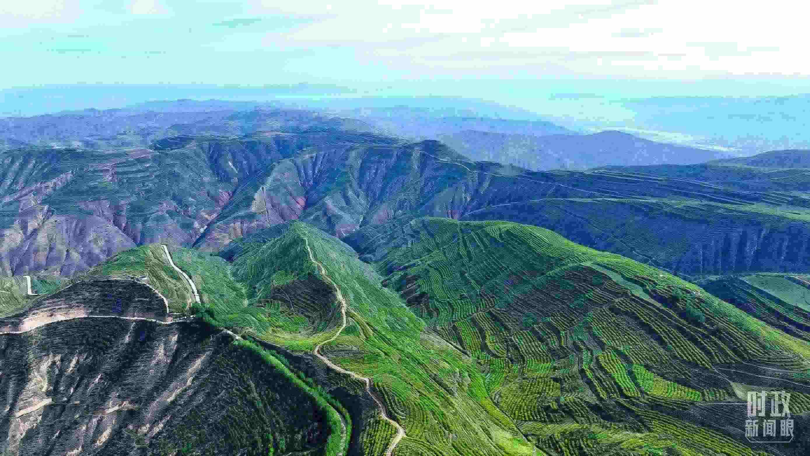 △青海西寧。（總臺記者柳成拍攝）