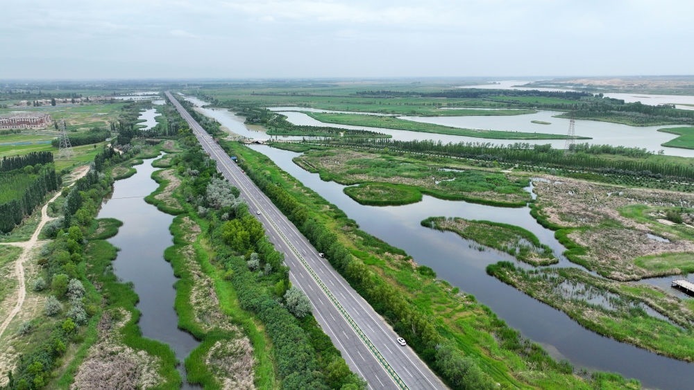這是2024年6月13日拍攝的黃河寧夏段濱河大道（無(wú)人機(jī)照片）。近年來(lái)，寧夏努力建設(shè)黃河流域生態(tài)保護(hù)和高質(zhì)量發(fā)展先行區(qū)，全力打好黃河保護(hù)持久戰(zhàn)。新華社記者 王鵬 攝