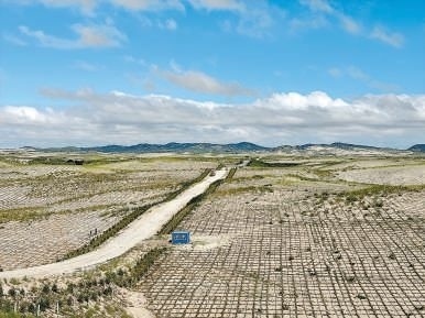 剛剛竣工的其白線穿沙公路。