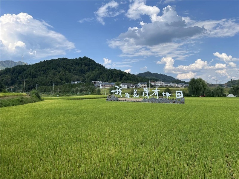 青瓦白磚的黔北民居、風(fēng)中搖曳的稻田、抬手可觸的大片云朵……才剛下車，格魯吉亞“經(jīng)濟(jì)中心網(wǎng)”總編輯莉安娜·喬爾喬利亞尼就被眼前的景色拖住了步履，喃喃細(xì)語：“實(shí)在太美了，讓我內(nèi)心平靜，在這里生活一定非常安逸和幸福?！保ㄇ褫x攝）