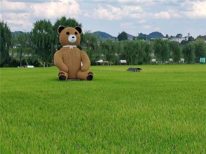 稻穗搖曳，垂柳依依，山嵐多姿，好一幅歲月靜好山鄉(xiāng)恬靜圖。這憨厚俏皮的熊玩偶造型，像是亂入其中，形成現(xiàn)代與傳統(tǒng)、好動與寧靜的反差感，讓人過目不忘，也讓人莞爾一笑。（哈薩克斯坦鳳凰24新聞社總編輯兼首席執(zhí)行官克馬爾·馬山羅攝）