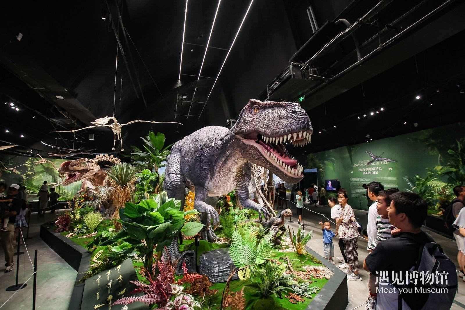 2. 游客參觀“2億年的地球記憶——恐龍化石特展”。遇見博物館供圖