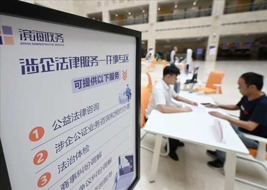 在天津濱海新區(qū)政務服務中心，工作人員在“涉企法律服務一件事”專區(qū)為市民提供服務（2024年7月31日攝）。新華社記者 趙子碩 攝