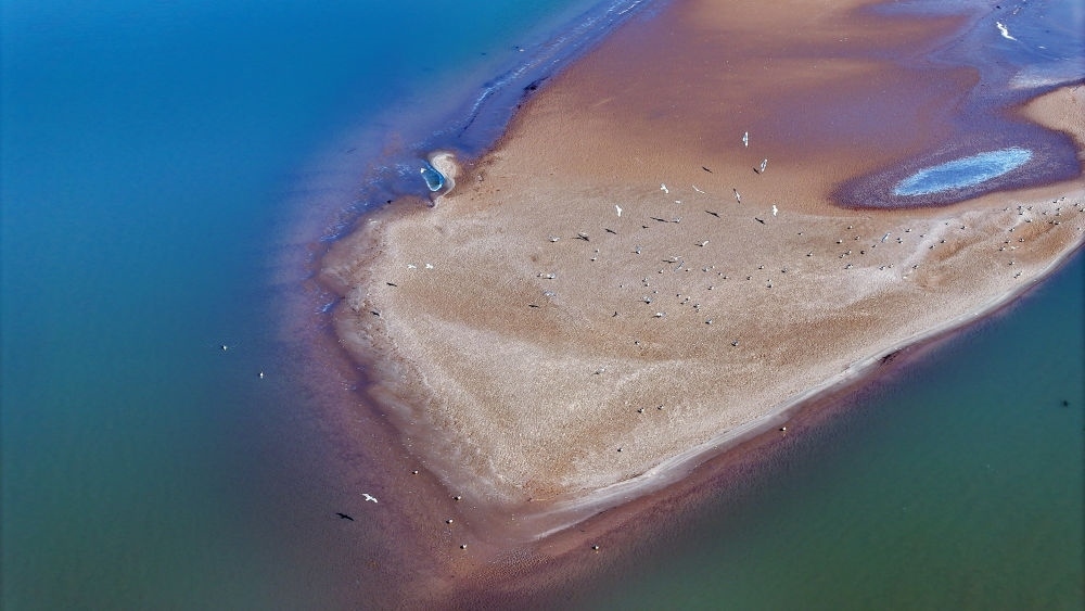 2024年3月1日拍攝的黃河寧夏段（無(wú)人機(jī)照片）。