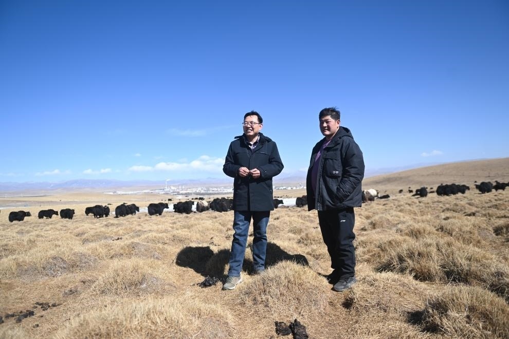 2023年2月24日，在青海省海北藏族自治州海晏縣青海湖鄉(xiāng)達(dá)玉日秀村，全國人大代表董全民（左）查看牧民東知布家的草場。新華社記者 張龍 攝