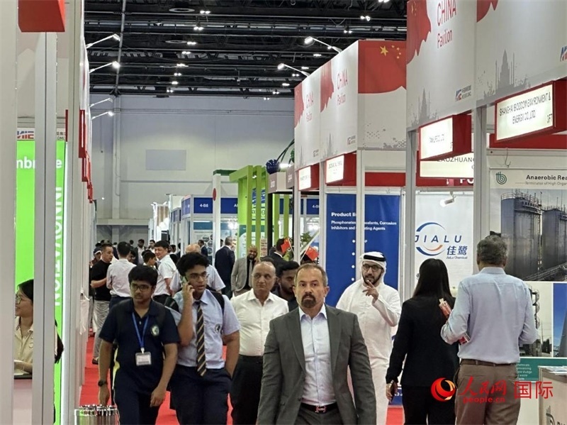 中國(guó)館一角。人民網(wǎng)記者管克江攝