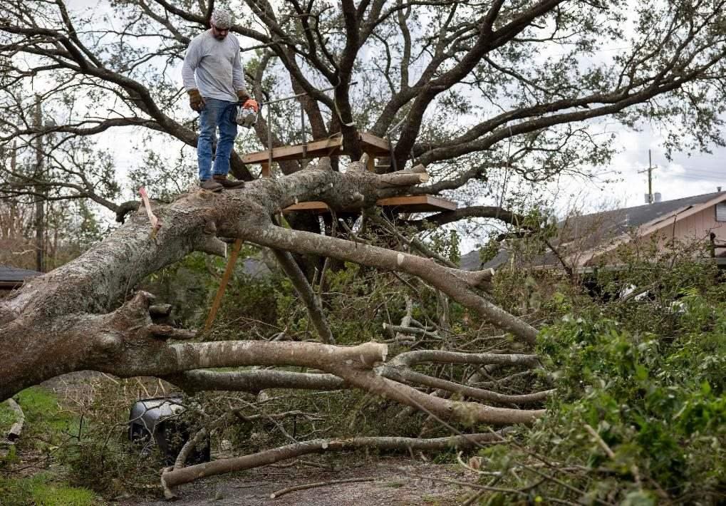 2021年8月30日，在美國路易斯安那州霍馬，一名男子站在被颶風吹倒的大樹上。新華社發(fā)（尼克·瓦格納 攝）