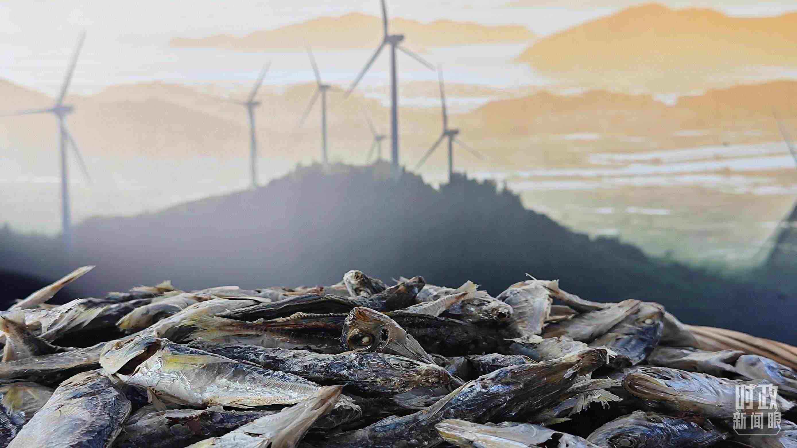 △澳角村的海產(chǎn)品。（總臺(tái)央視記者許永松拍攝）