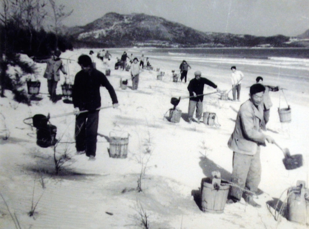 上世紀(jì)東山百姓在沙灘造林（資料照片）。