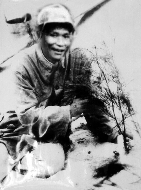 谷文昌與試種成活的木麻黃（資料照片）。為了治沙，谷文昌爬遍了東山縣400多個(gè)山頭，踏遍了30多公里的沙灘，終于帶領(lǐng)東山人民試種木麻黃成功。