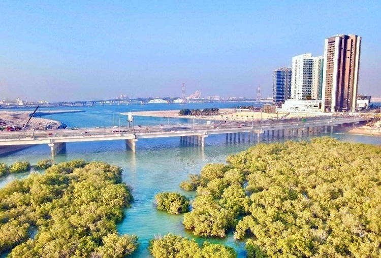 圖為瑞姆橋施工現(xiàn)場(chǎng)。中國(guó)土木供圖