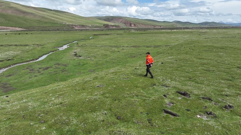9月24日，生態(tài)管護(hù)員那瓦才郎在草場(chǎng)上巡護(hù)。（受訪者供圖）