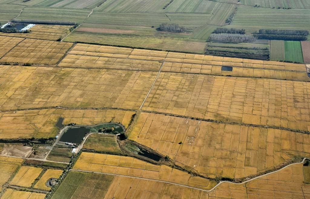 俯瞰黑龍江省哈爾濱市一處稻田（10月2日攝，無(wú)人機(jī)照片）。新華社記者 孫曉宇 攝